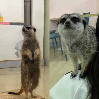 로로님이 올린 리뷰 사진 2