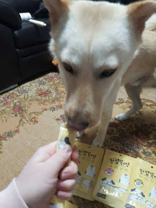 [펫토리아] 강아지,고양이겸용 짜먹는 한입뚝딱 — 5점을 준 리뷰어가 2019년 2월 올린 사용 사진