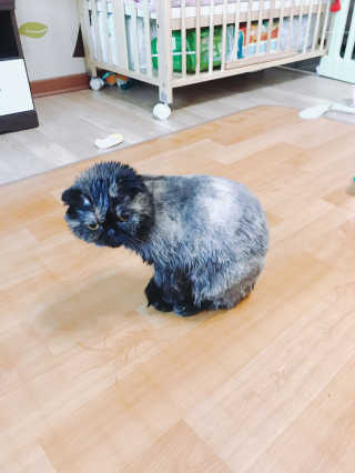 서인까꿍님이 올린 리뷰 사진 3