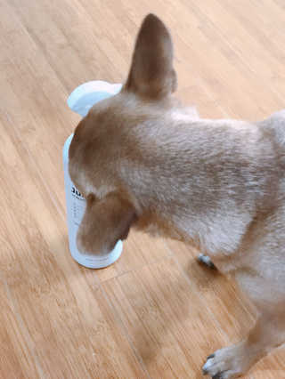 유르율님이 올린 리뷰 사진 3