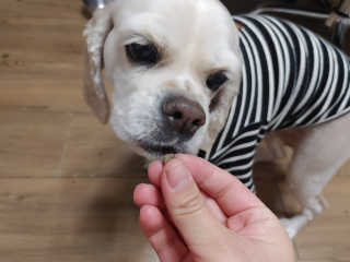 곰둥공주님님이 올린 리뷰 사진 3