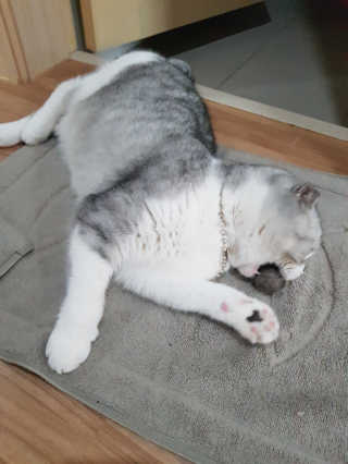 라니으니님이 올린 리뷰 사진 1