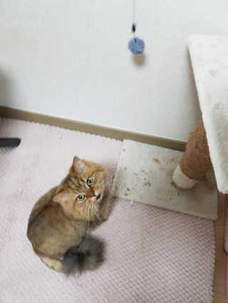 옹알이님이 올린 리뷰 사진 2