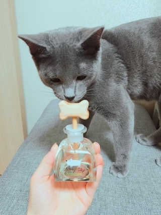 오!마이실리 오마이실리 반려동물 디퓨저 — 4.67점을 준 리뷰어가 2017년 12월 올린 사용 사진