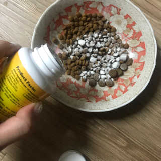 재로우 제로우 펫 도필러스 반려동물 유산균 영양제 70.5g — 2.5점을 준 리뷰어가 2018년 7월 올린 사용 사진