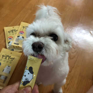 [펫토리아]짜먹는 한입뚝딱 강아지.고양이 마약간식 — 5점을 준 리뷰어가 2019년 7월 올린 사용 사진