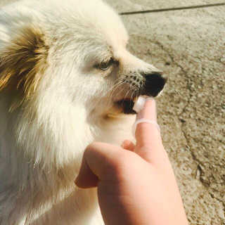 성꽃밭님이 올린 리뷰 사진 3