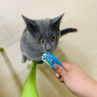 한비님이 올린 리뷰 사진 3
