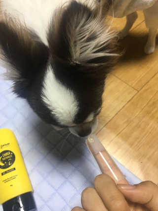 SeuminJe님이 올린 리뷰 사진 2