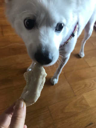 하죠이님이 올린 리뷰 사진 1
