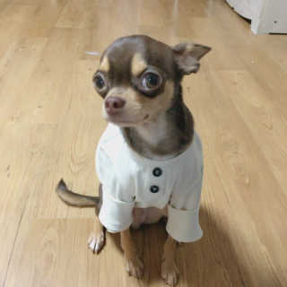 이하나님이 올린 리뷰 사진 2