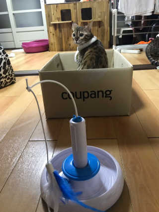 Erika님이 올린 리뷰 사진 2