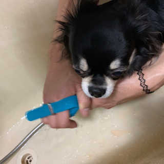 GyujinKim님이 올린 리뷰 사진 3