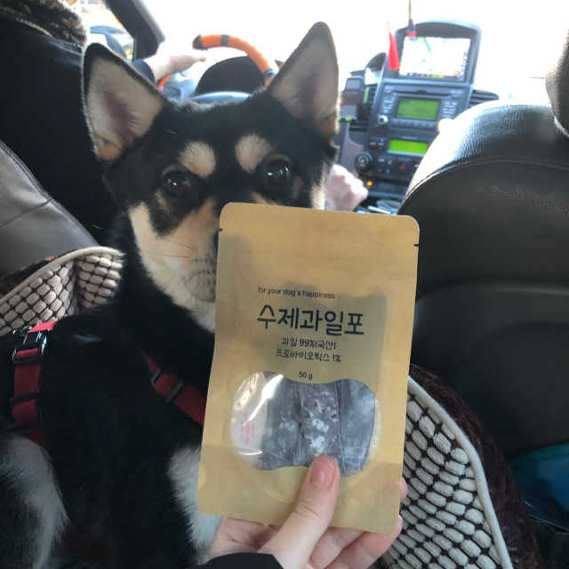 수제과일포 리뷰 사진