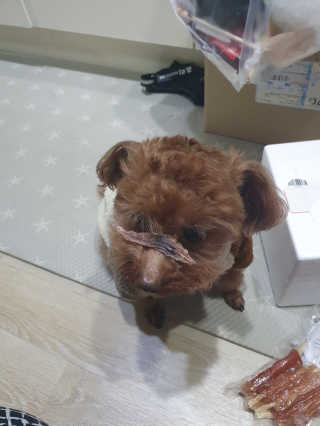 투마하뚜님이 올린 리뷰 사진 3