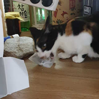 현뚜님이 올린 리뷰 사진 3