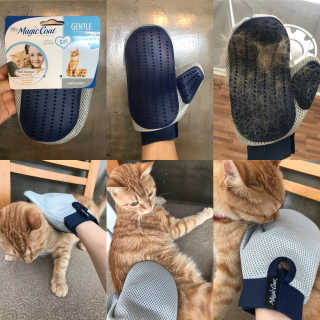 Four paws 리뉴얼 포포즈 매직코트 털 제거 브러쉬 — 4점을 준 리뷰어가 2018년 8월 올린 사용 사진