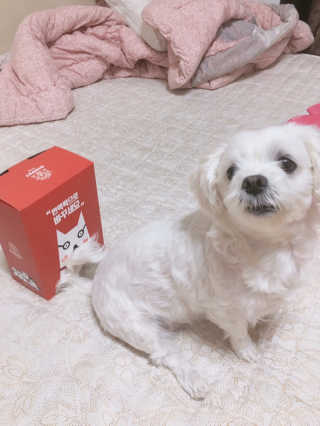 나나페이지님이 올린 리뷰 사진 1