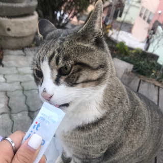 리기님이 올린 리뷰 사진 3