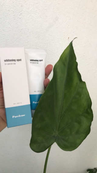 돼지혜님이 올린 리뷰 사진 4