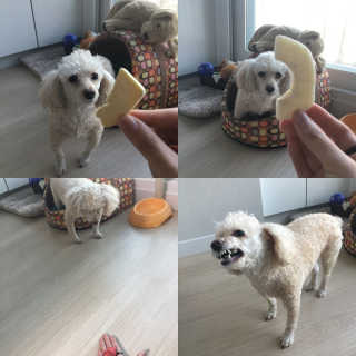 지현님이 올린 리뷰 사진 1