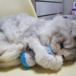 슬뷰님이 올린 리뷰 사진 1