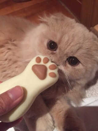 효닝님이 올린 리뷰 사진 3