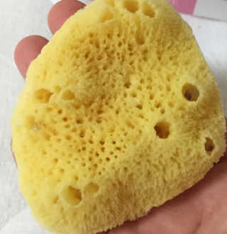 a남매둥이맘a님이 올린 리뷰 사진 1