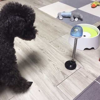 마카뇽님이 올린 리뷰 사진 2