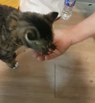 한동동님이 올린 리뷰 사진 3