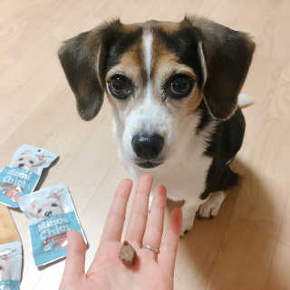 July님이 올린 리뷰 사진 2