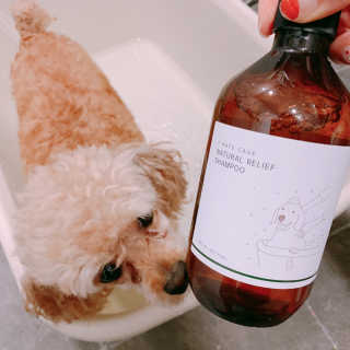 랑이님이 올린 리뷰 사진 1
