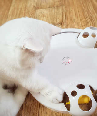 그리다님이 올린 리뷰 사진 1