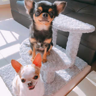 뚜리뚜치님이 올린 리뷰 사진 1