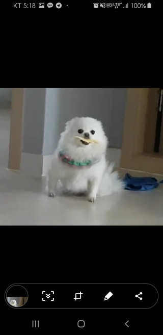 초초님이 올린 리뷰 사진 2