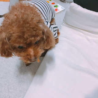 한나뿡님이 올린 리뷰 사진 2
