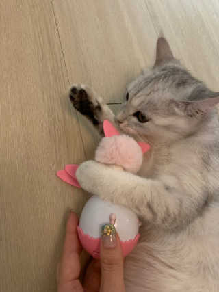 홍이님이 올린 리뷰 사진 2