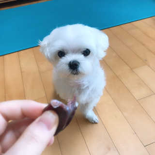 채꽃신님이 올린 리뷰 사진 1