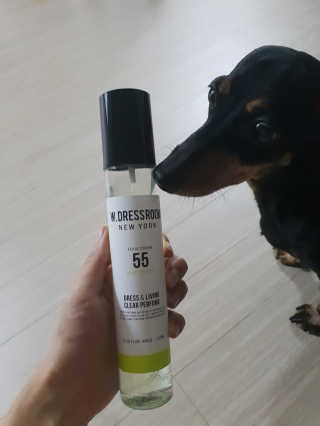 더블유드레스룸 신규향 드레스퍼퓸150ml — 5점을 준 리뷰어가 2018년 8월 올린 사용 사진