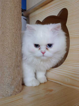 Lim님이 올린 리뷰 사진 3