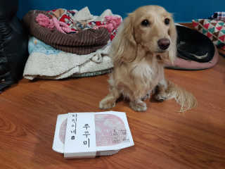 5_daks님이 올린 리뷰 사진 3