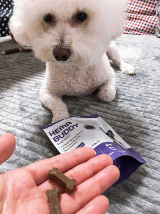 태풍님님이 올린 리뷰 사진 2