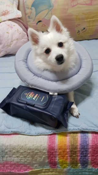 블리블리♡은블리♡님이 올린 리뷰 사진 1