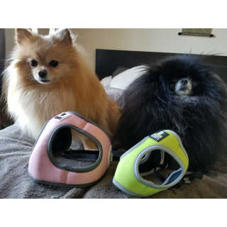 Peepingpomeranian님이 올린 리뷰 사진 2