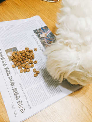 김민지님이 올린 리뷰 사진 1