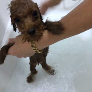 🫶🧸🫶님이 올린 리뷰 사진 2