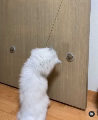 융융이님이 올린 리뷰 사진 3