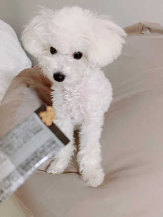 Ella님이 올린 리뷰 사진 4