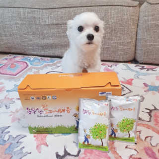 미민님이 올린 리뷰 사진 2