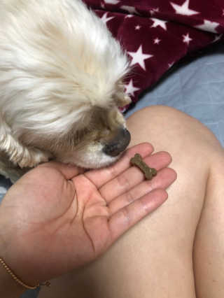 곰둥공주님님이 올린 리뷰 사진 3